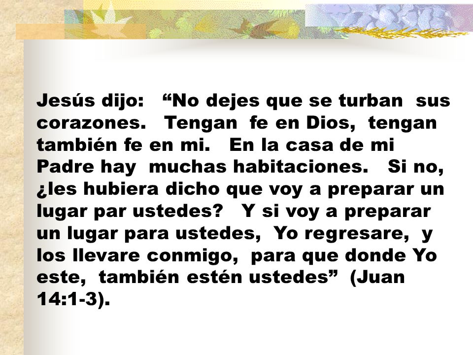 Jesús dijo: No dejes que se turban sus corazones