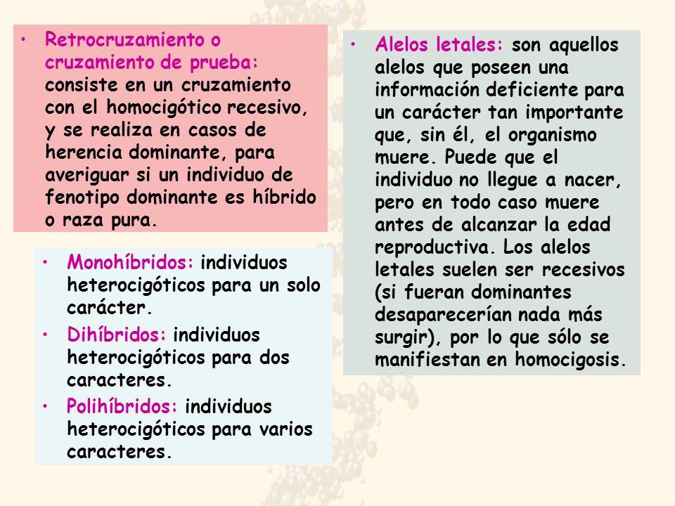 Retrocruzamiento o cruzamiento de prueba: consiste en un cruzamiento con el homocigótico recesivo, y se realiza en casos de herencia dominante, para averiguar si un individuo de fenotipo dominante es híbrido o raza pura.