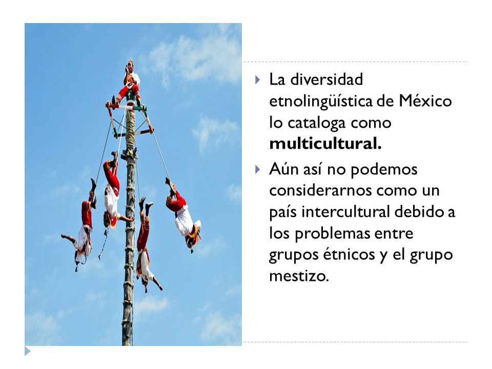 La diversidad etnolingüística de México lo cataloga como multicultural.