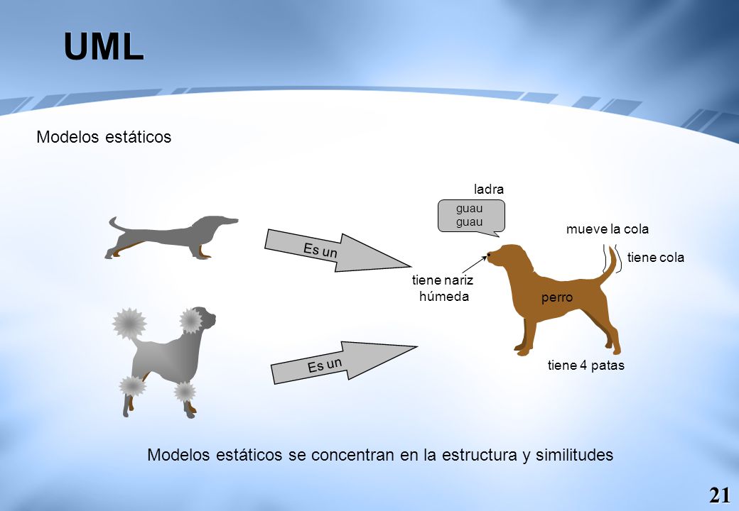 UML Modelos estáticos. ladra. guau. mueve la cola. Es un. tiene cola. tiene nariz. húmeda. perro.