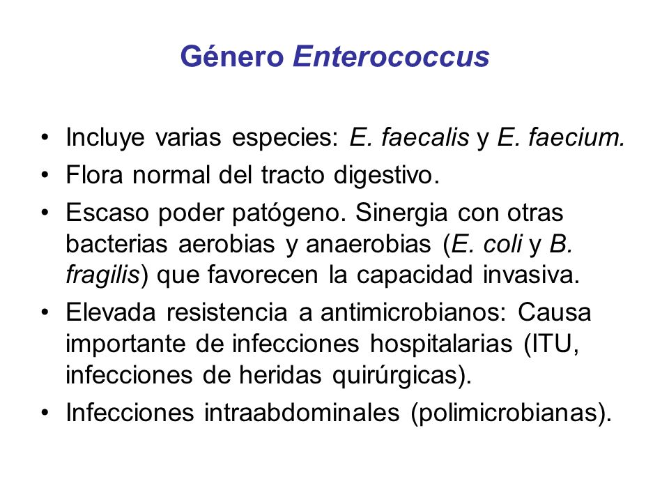 Género Enterococcus Incluye varias especies: E. faecalis y E. faecium.