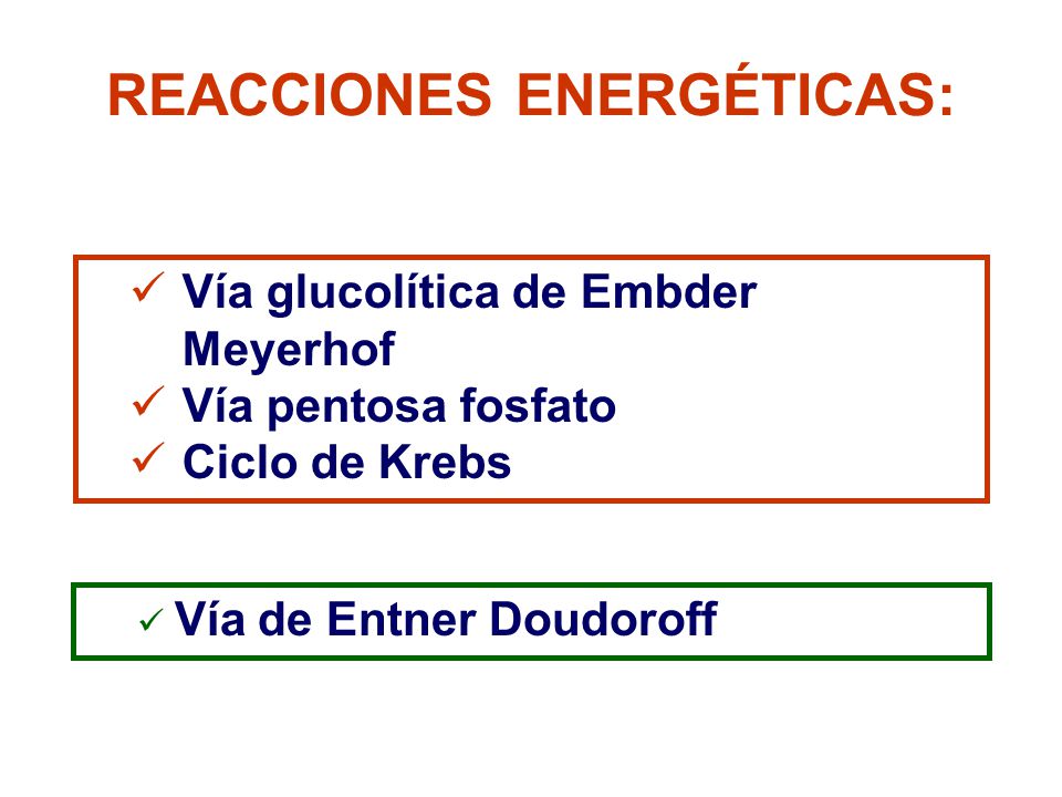 REACCIONES ENERGÉTICAS: