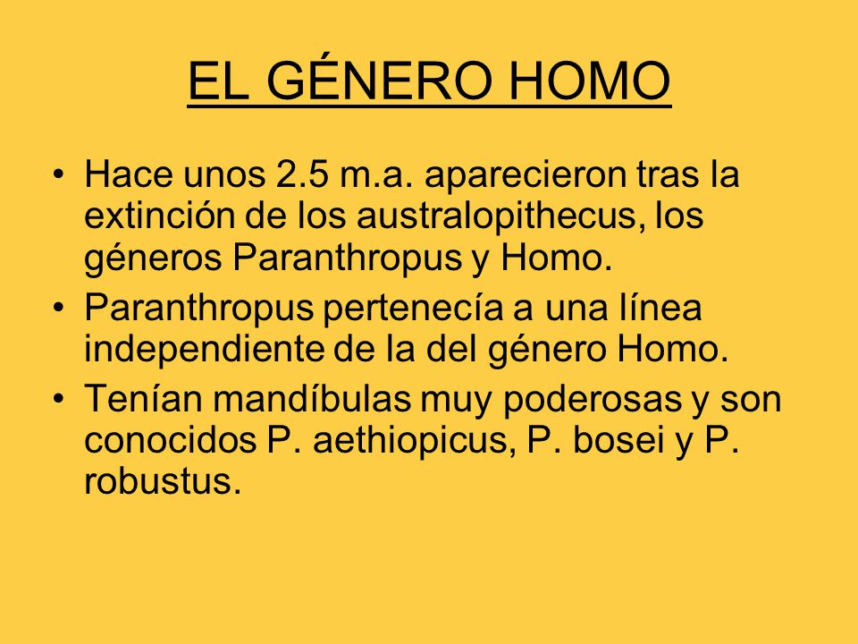 EL GÉNERO HOMO Hace unos 2.5 m.a. aparecieron tras la extinción de los australopithecus, los géneros Paranthropus y Homo.