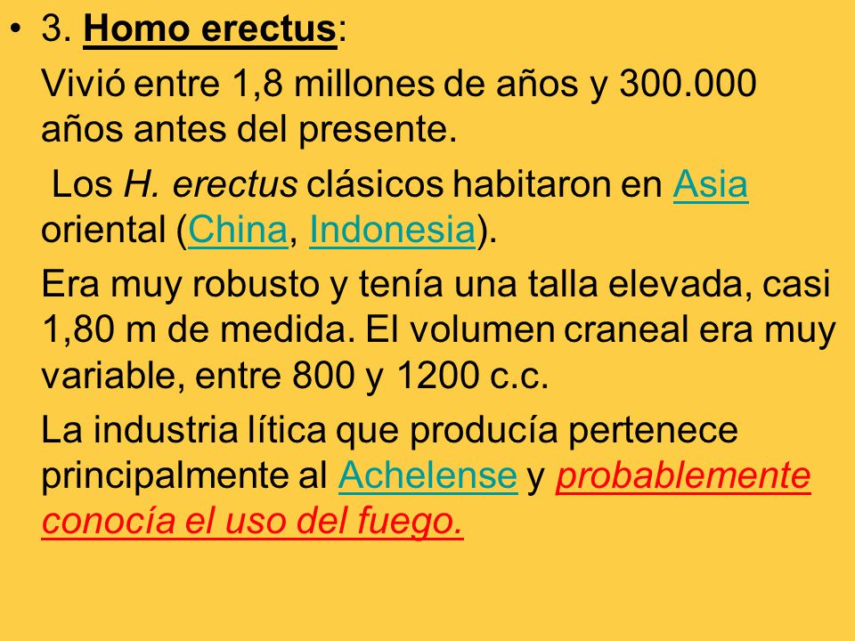 3. Homo erectus: Vivió entre 1,8 millones de años y años antes del presente.