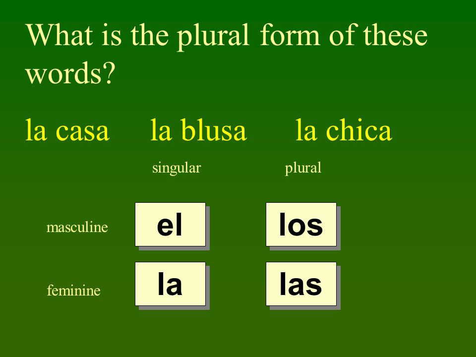 What is the plural form of these words la casa la blusa la chica