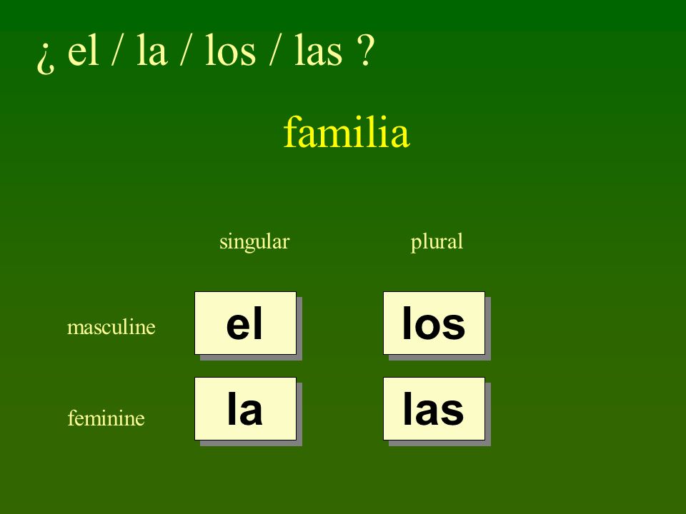 ¿ el / la / los / las familia el los la las singular plural