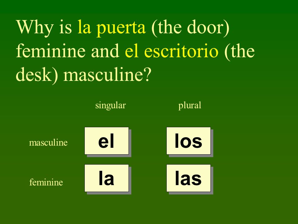 Why is la puerta (the door) feminine and el escritorio (the desk) masculine