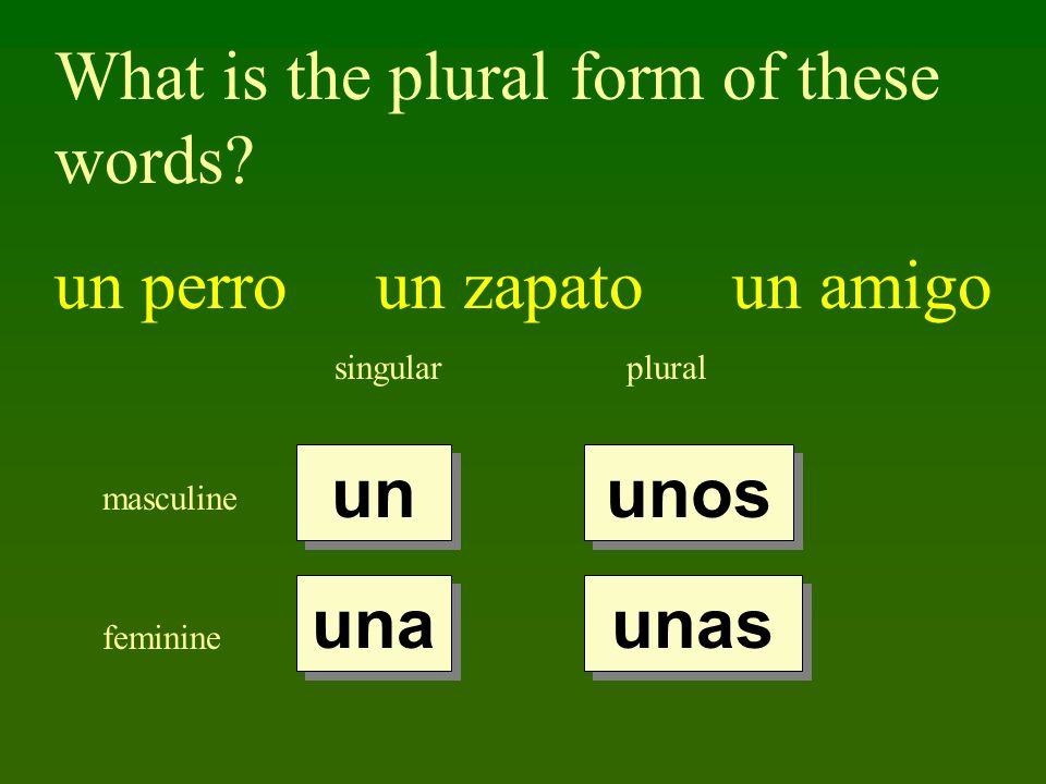What is the plural form of these words un perro un zapato un amigo
