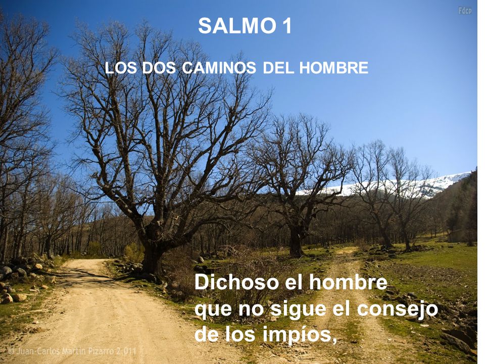 LOS DOS CAMINOS DEL HOMBRE