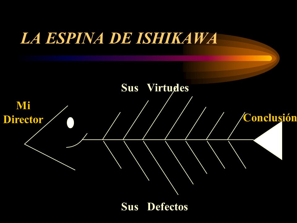 LA ESPINA DE ISHIKAWA Sus Virtudes Mi Director Conclusión Sus Defectos