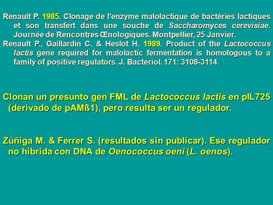 Renault P Clonage de l enzyme malolactique de bactéries lactiques et son transfert dans une souche de Saccharomyces cerevisiae. Journée de Rencontres Œnologiques. Montpellier, 25 Janvier.