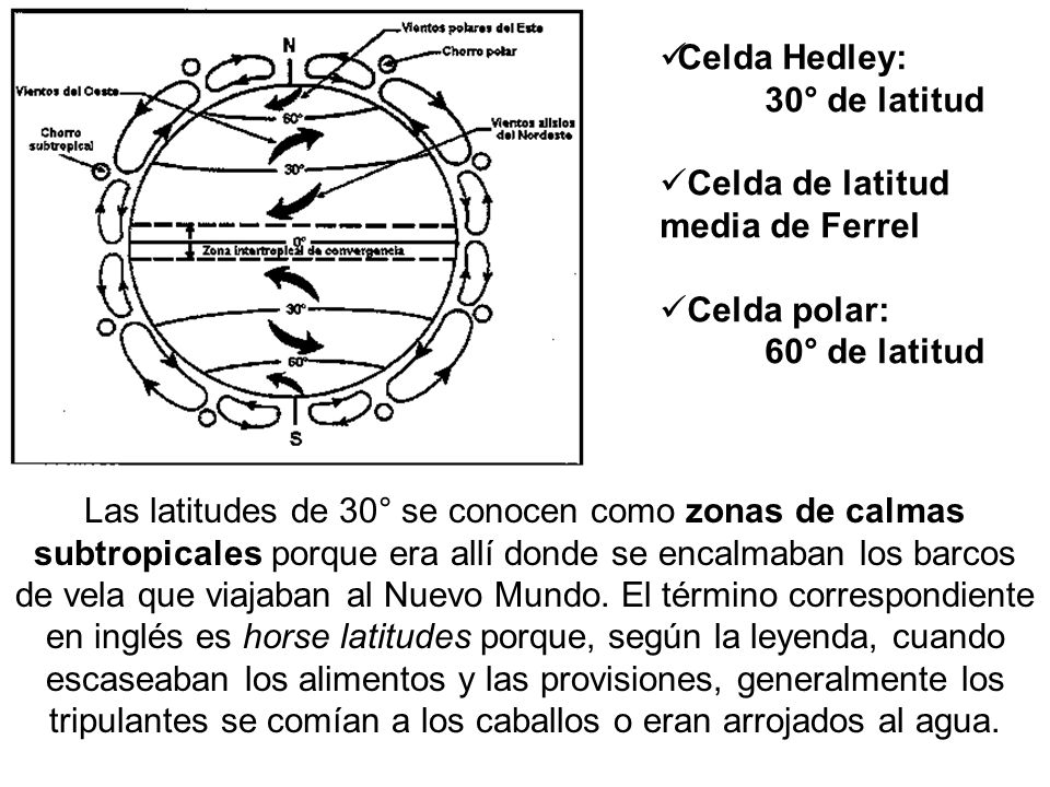 Celda Hedley: 30° de latitud. Celda de latitud media de Ferrel. Celda polar: 60° de latitud.