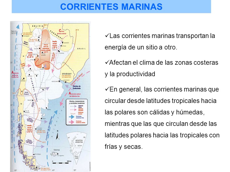 CORRIENTES MARINAS Las corrientes marinas transportan la energía de un sitio a otro. Afectan el clima de las zonas costeras y la productividad.