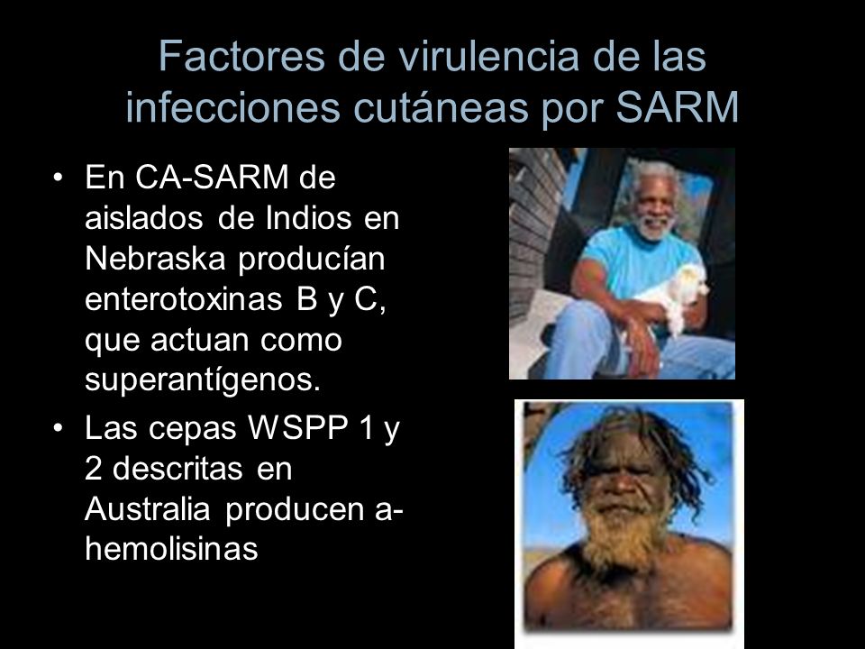 Factores de virulencia de las infecciones cutáneas por SARM