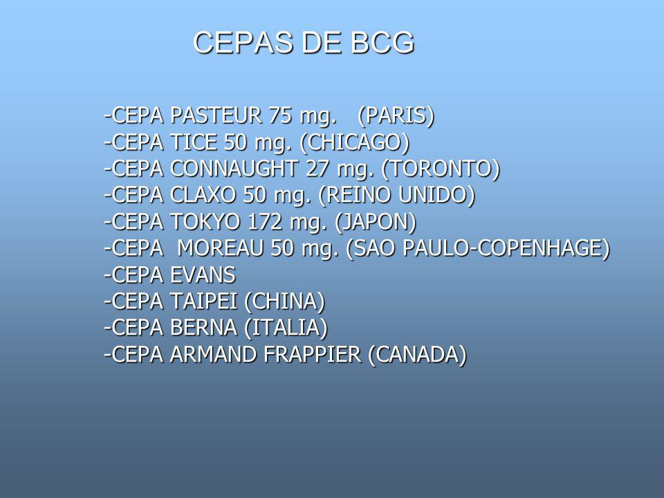 CEPAS DE BCG -CEPA PASTEUR 75 mg. (PARIS) -CEPA TICE 50 mg. (CHICAGO)