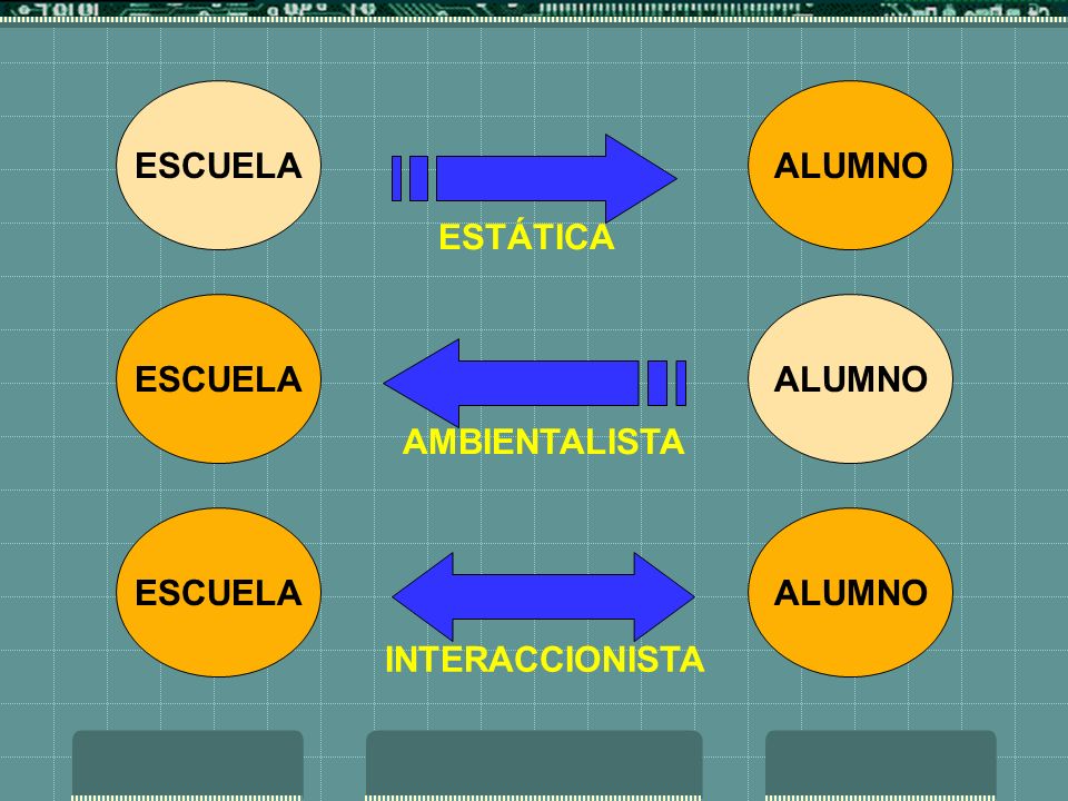 ESCUELA ALUMNO ESTÁTICA ESCUELA ALUMNO AMBIENTALISTA ESCUELA ALUMNO INTERACCIONISTA