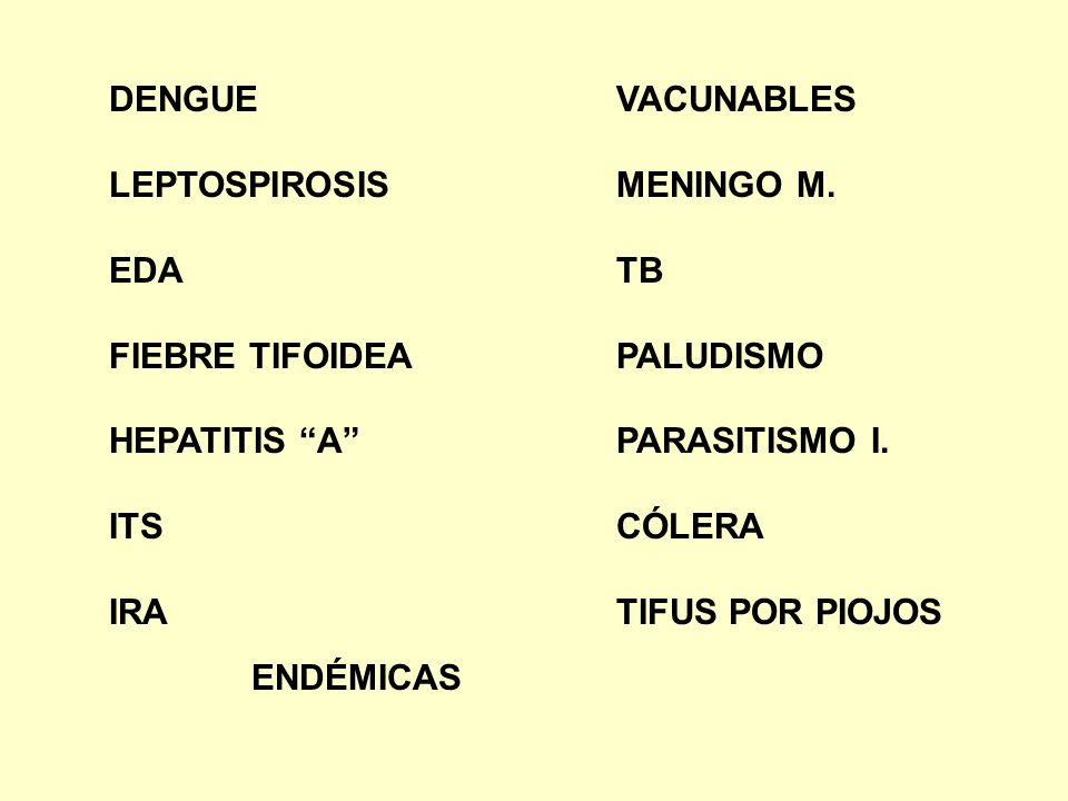 DENGUE LEPTOSPIROSIS. EDA. FIEBRE TIFOIDEA. HEPATITIS A ITS. IRA. VACUNABLES. MENINGO M. TB.