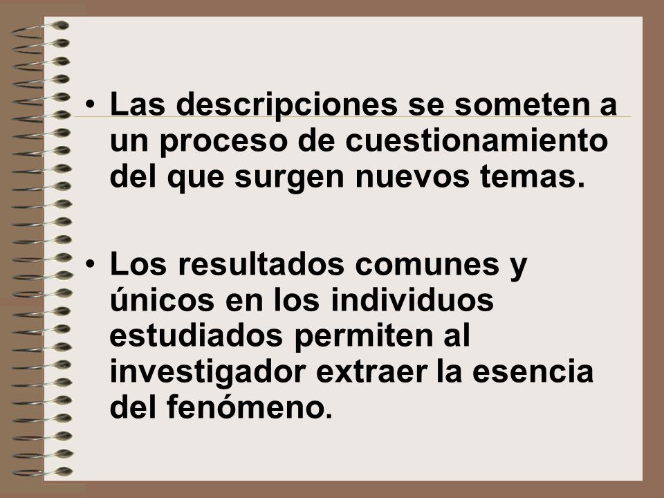 Las descripciones se someten a un proceso de cuestionamiento del que surgen nuevos temas.