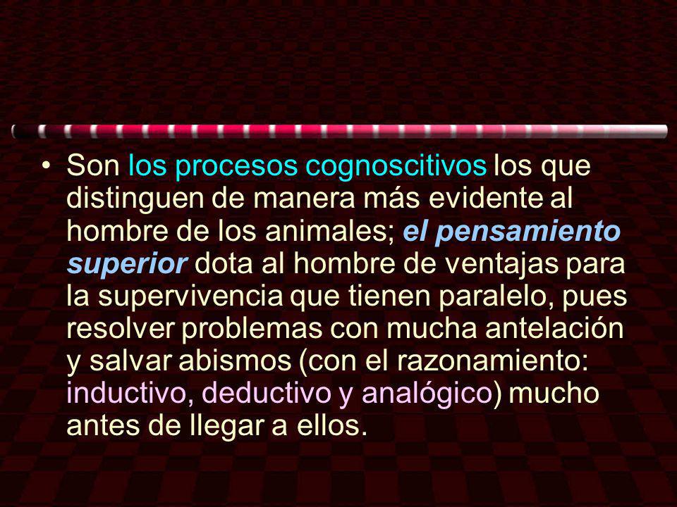 Son los procesos cognoscitivos los que distinguen de manera más evidente al hombre de los animales; el pensamiento superior dota al hombre de ventajas para la supervivencia que tienen paralelo, pues resolver problemas con mucha antelación y salvar abismos (con el razonamiento: inductivo, deductivo y analógico) mucho antes de llegar a ellos.