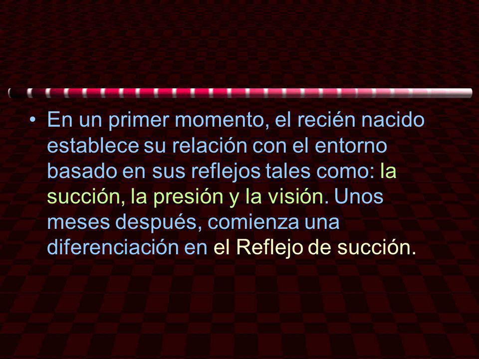 En un primer momento, el recién nacido establece su relación con el entorno basado en sus reflejos tales como: la succión, la presión y la visión.