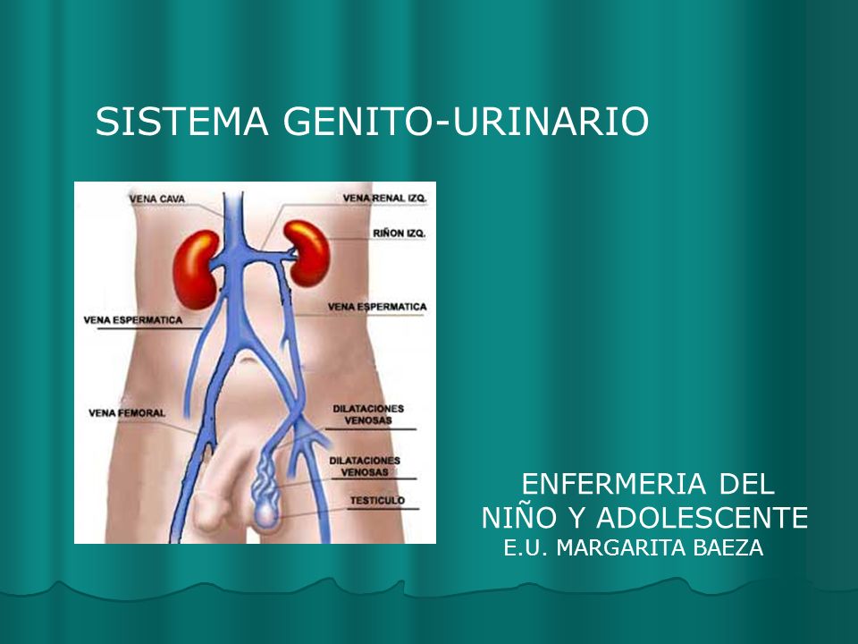 SISTEMA GENITO-URINARIO
