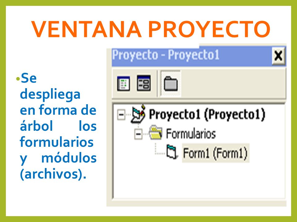 VENTANA PROYECTO Se despliega en forma de árbol los formularios y módulos (archivos).