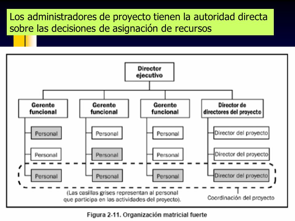 Los administradores de proyecto tienen la autoridad directa