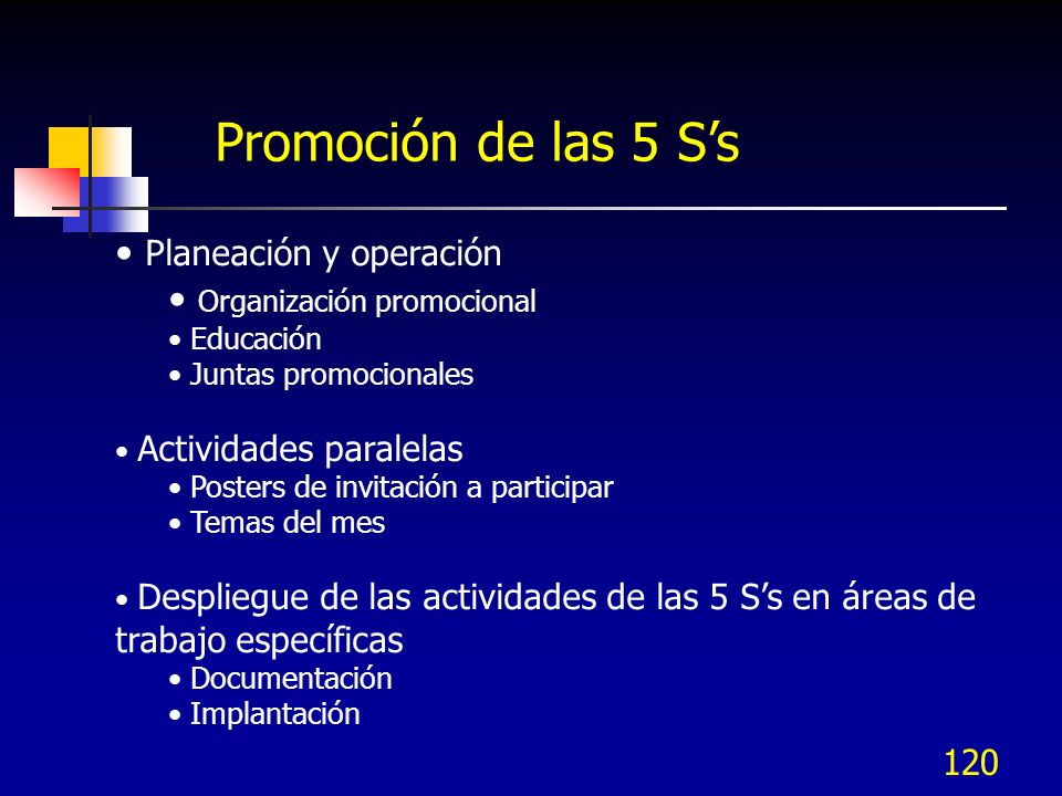 Promoción de las 5 S’s Planeación y operación Organización promocional