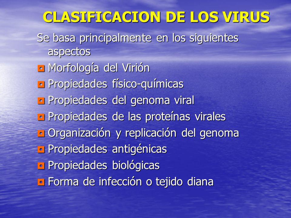 CLASIFICACION DE LOS VIRUS