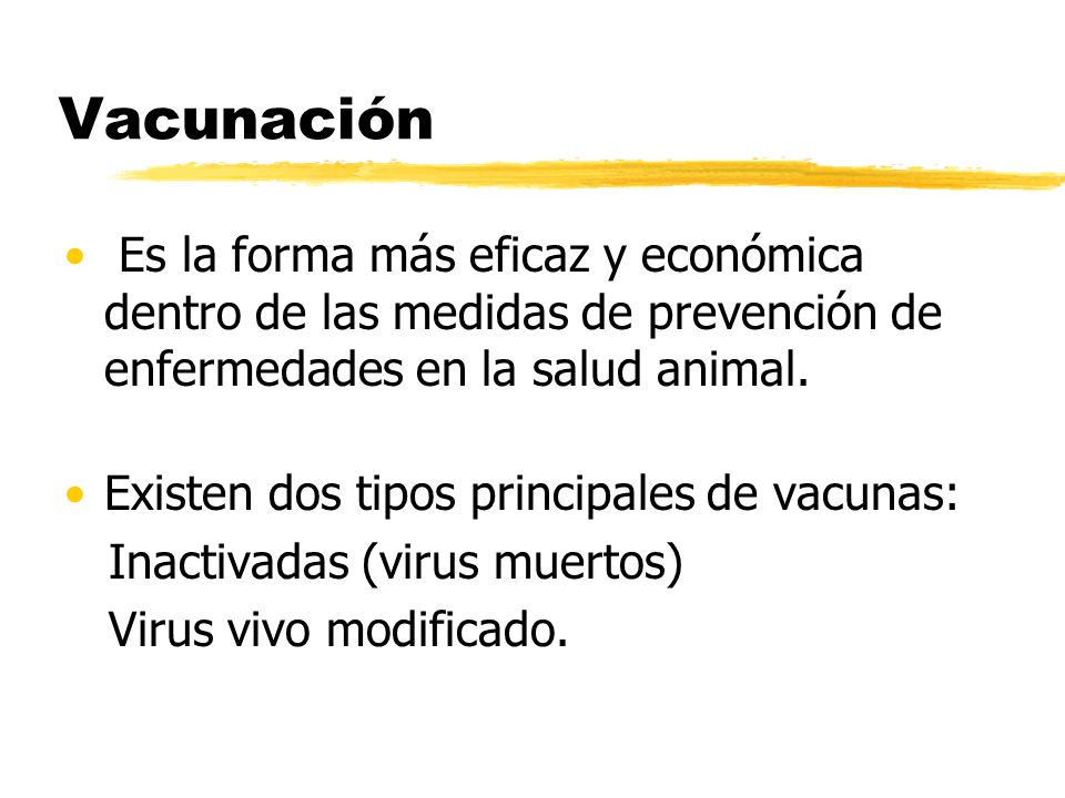 Vacunación Es la forma más eficaz y económica dentro de las medidas de prevención de enfermedades en la salud animal.