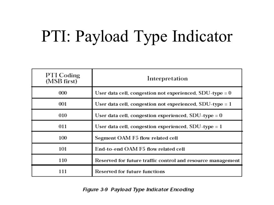 PTI: Payload Type Indicator