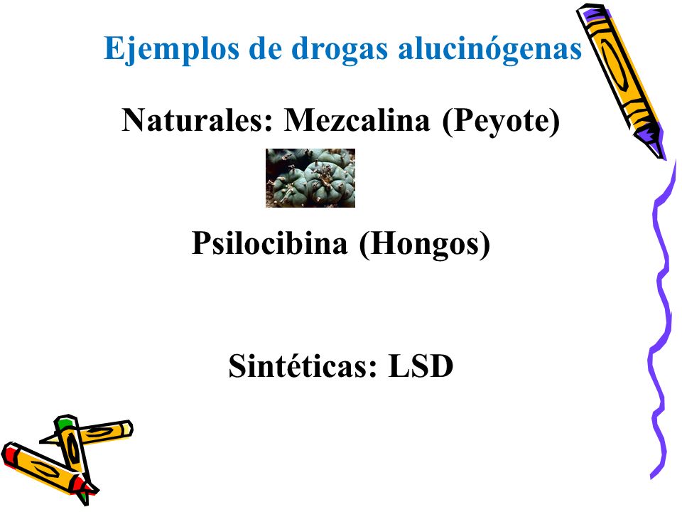 Ejemplos de drogas alucinógenas Naturales: Mezcalina (Peyote)