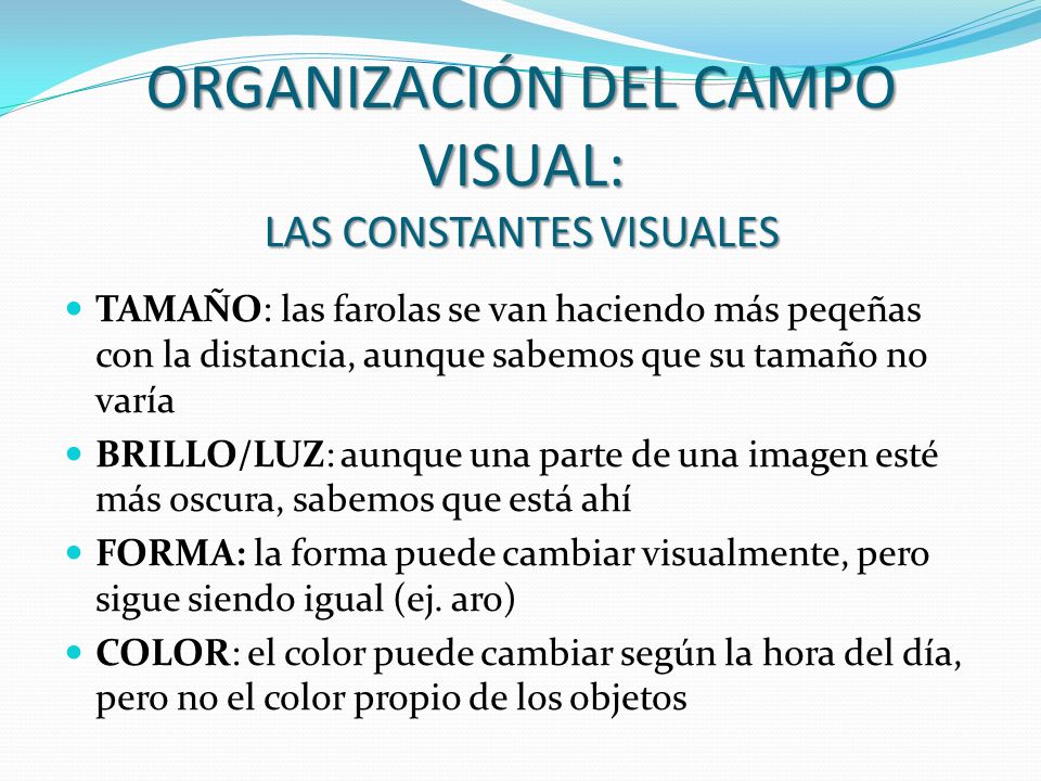 ORGANIZACIÓN DEL CAMPO VISUAL: LAS CONSTANTES VISUALES