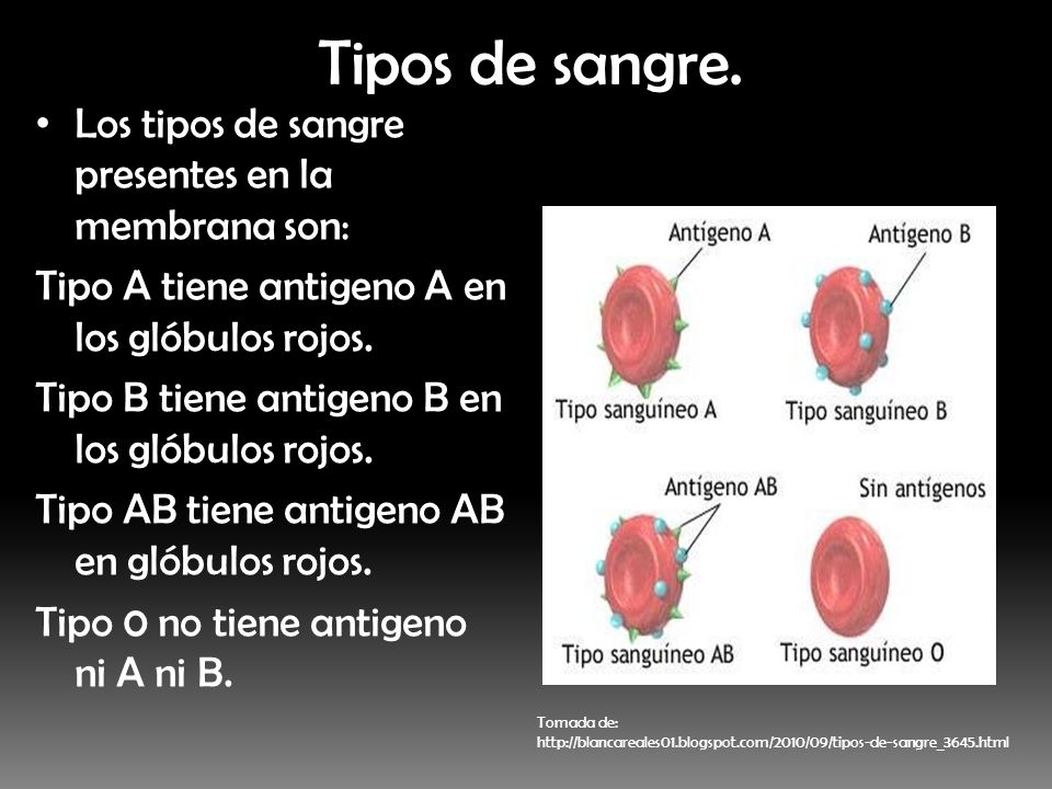 Tipos de sangre. Los tipos de sangre presentes en la membrana son: