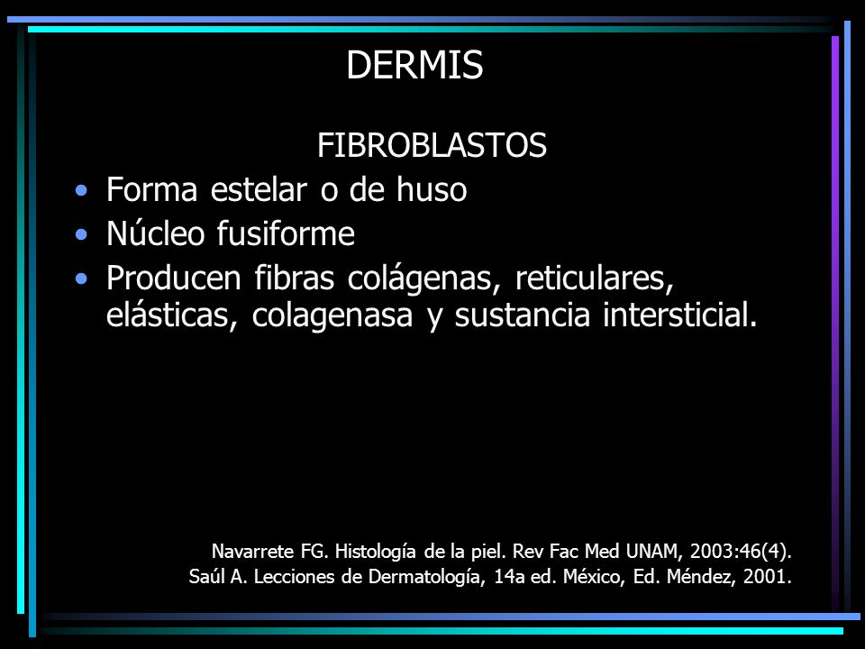 DERMIS FIBROBLASTOS Forma estelar o de huso Núcleo fusiforme