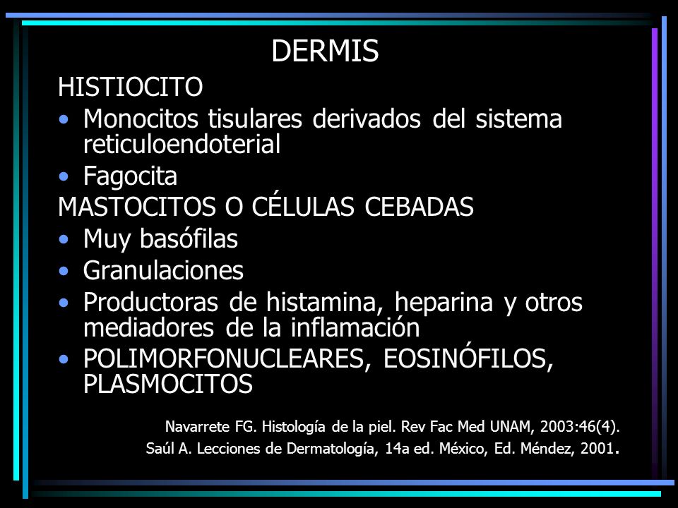 DERMIS HISTIOCITO. Monocitos tisulares derivados del sistema reticuloendoterial. Fagocita. MASTOCITOS O CÉLULAS CEBADAS.
