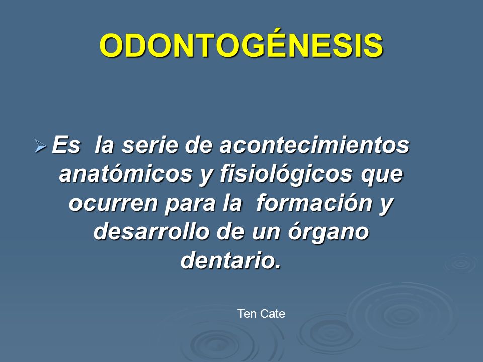 ODONTOGÉNESIS Es la serie de acontecimientos anatómicos y fisiológicos que ocurren para la formación y desarrollo de un órgano dentario.