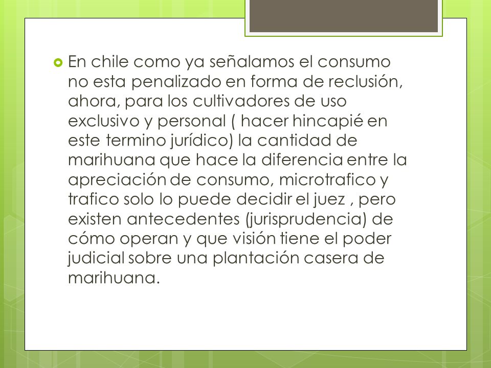 En chile como ya señalamos el consumo no esta penalizado en forma de reclusión, ahora, para los cultivadores de uso exclusivo y personal ( hacer hincapié en este termino jurídico) la cantidad de marihuana que hace la diferencia entre la apreciación de consumo, microtrafico y trafico solo lo puede decidir el juez , pero existen antecedentes (jurisprudencia) de cómo operan y que visión tiene el poder judicial sobre una plantación casera de marihuana.