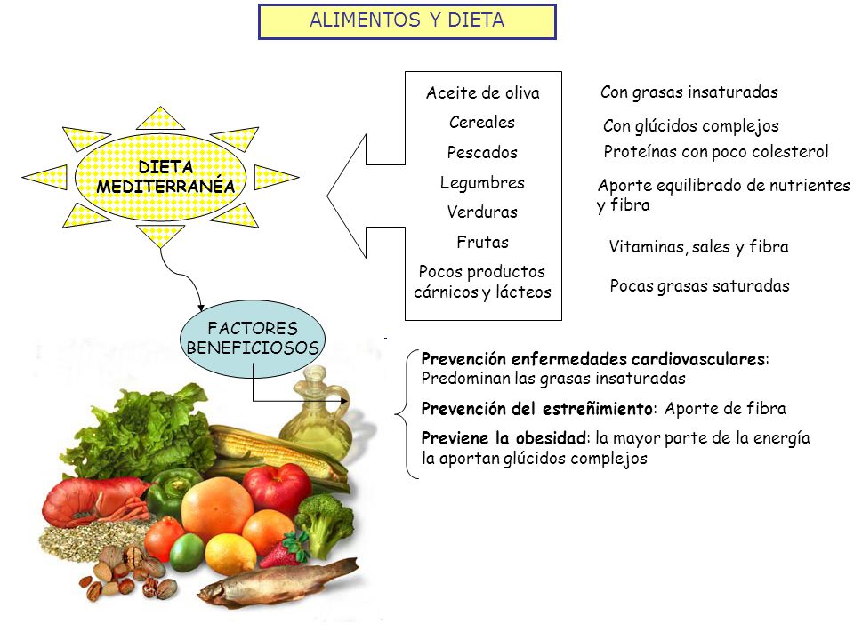 ALIMENTOS Y DIETA Aceite de oliva Con grasas insaturadas Cereales
