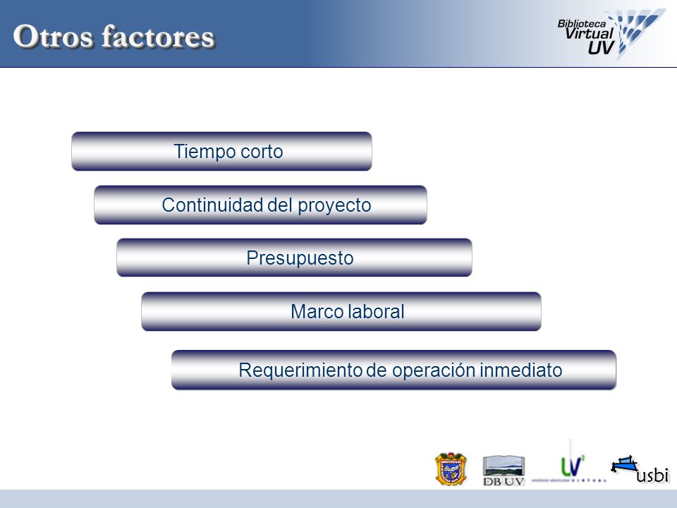 Otros factores Tiempo corto Continuidad del proyecto Presupuesto