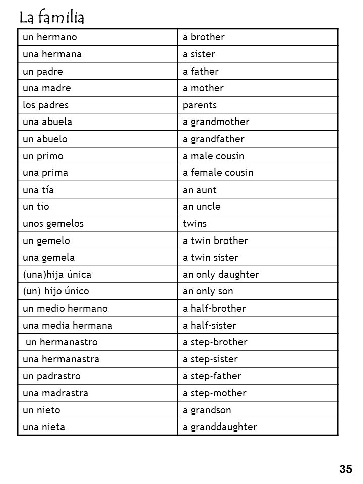 La familia 35 un hermano a brother una hermana a sister un padre