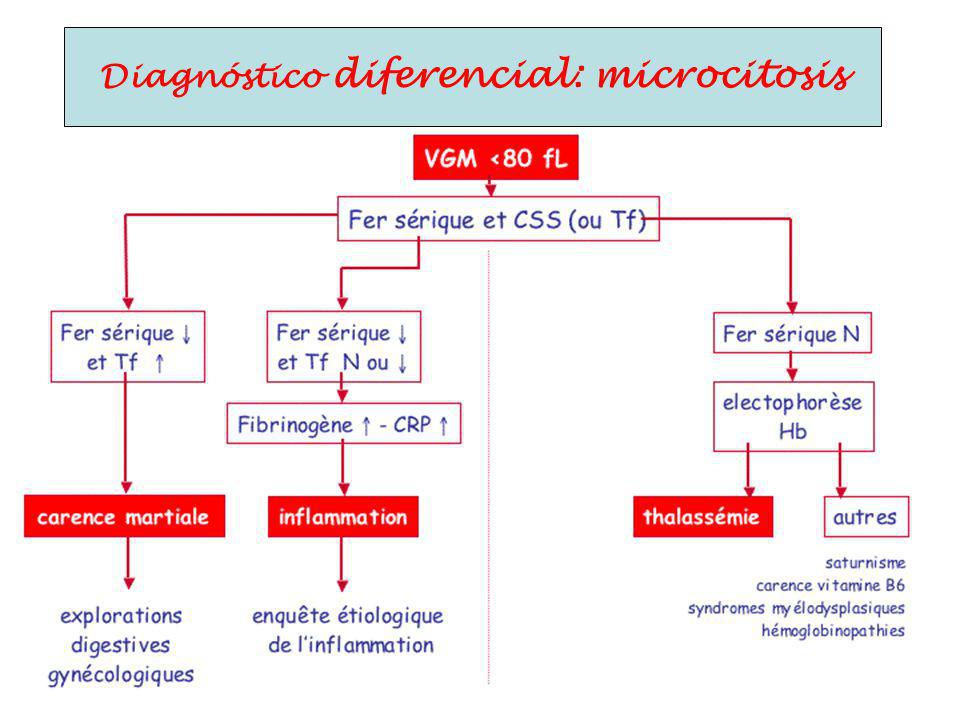 Diagnóstico diferencial: microcitosis
