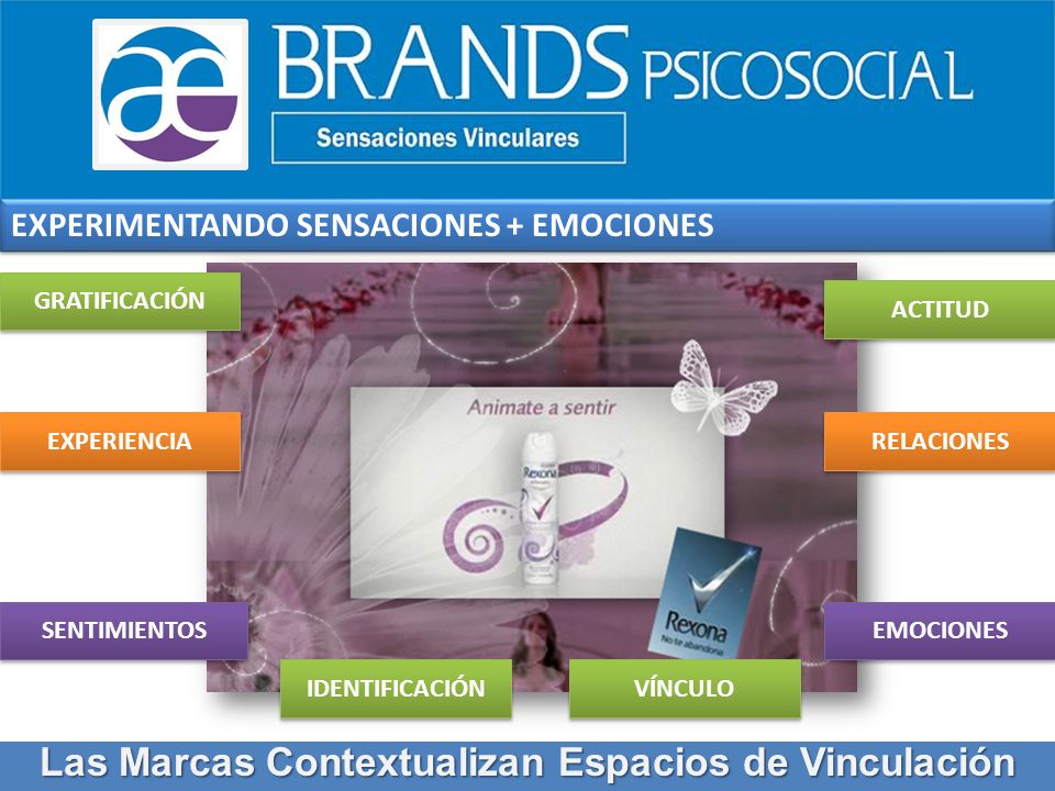 Las Marcas Contextualizan Espacios de Vinculación