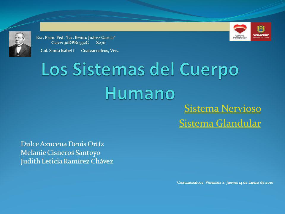 Los Sistemas del Cuerpo Humano