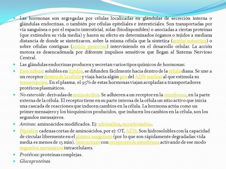 Las hormonas son segregadas por células localizadas en glándulas de secreción interna o glándulas endocrinas, o también por células epiteliales e intersticiales. Son transportadas por vía sanguínea o por el espacio intersticial, solas (biodisponibles) o asociadas a ciertas proteínas (que extienden su vida media) y hacen su efecto en determinados órganos o tejidos a mediana distancia de donde se sintetizaron, sobre la misma célula que la sintetiza (acción autocrina) o sobre células contiguas (acción paracrina) interviniendo en el desarrollo celular. La acción motora es desencadenada por diferente impulsos sensitivos que llegan al Sistema Nervioso Central.