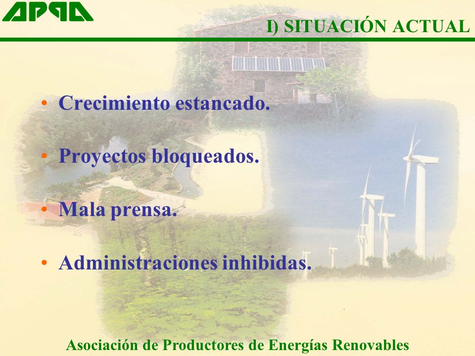 Asociación de Productores de Energías Renovables