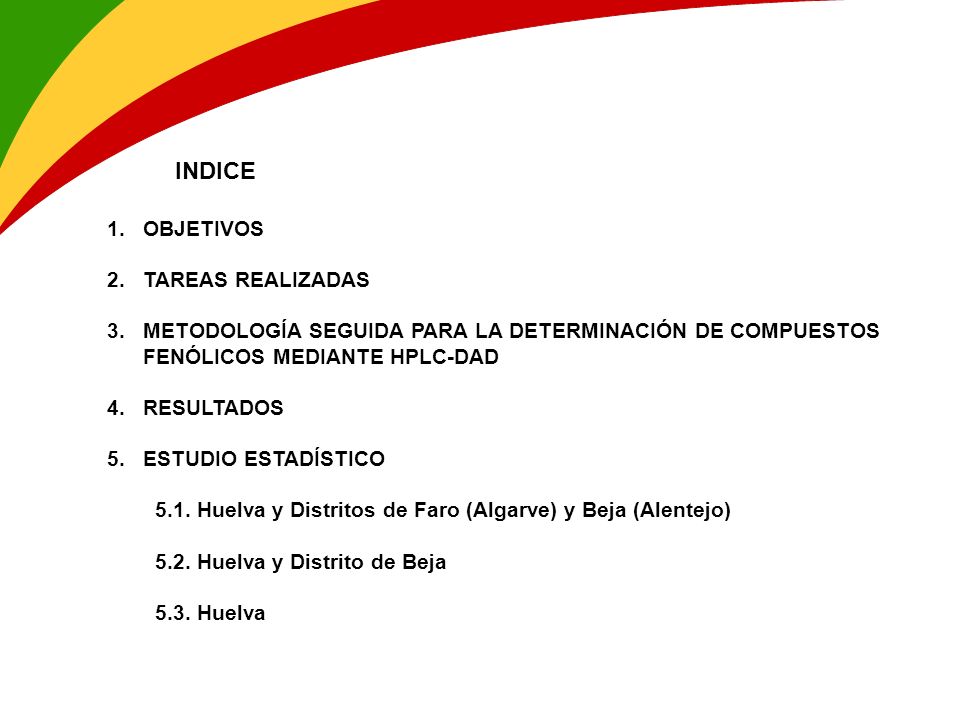 INDICE OBJETIVOS TAREAS REALIZADAS