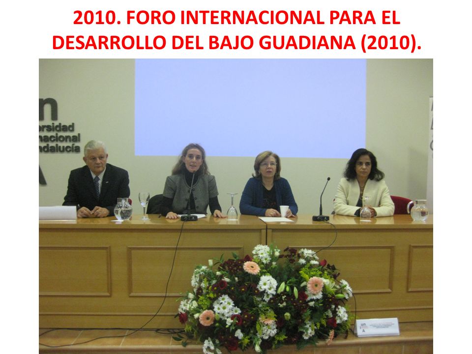 2010. FORO INTERNACIONAL PARA EL DESARROLLO DEL BAJO GUADIANA (2010).