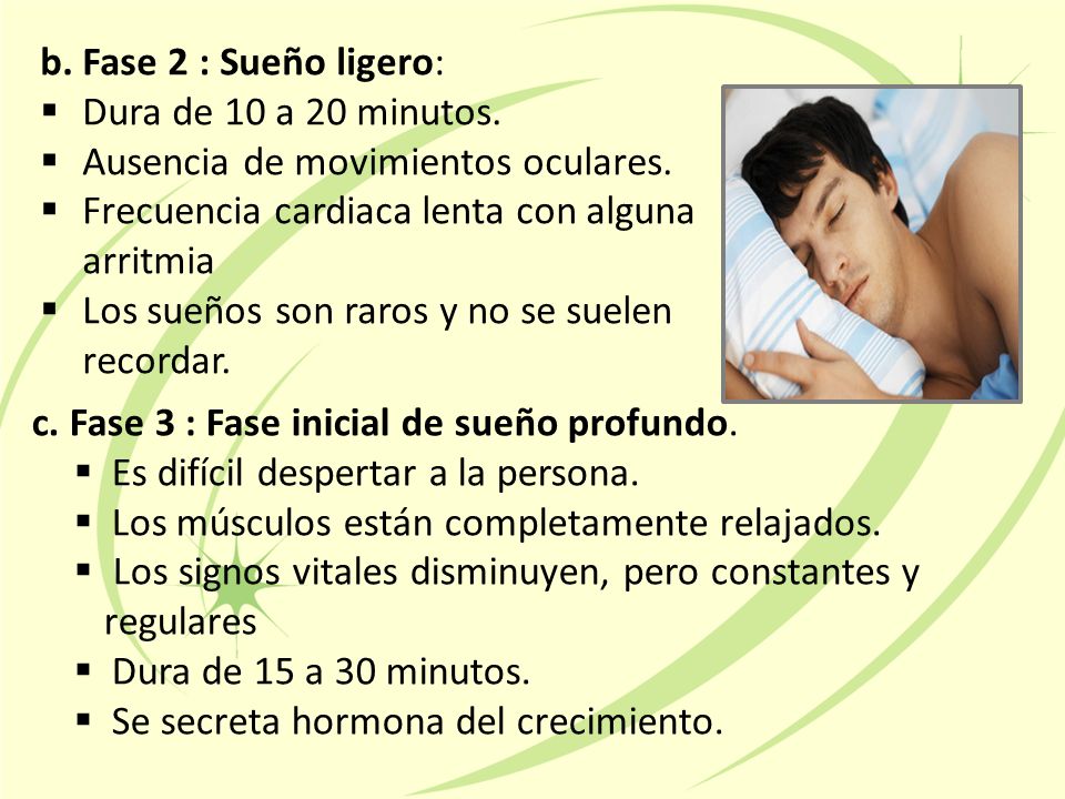 b. Fase 2 : Sueño ligero: Dura de 10 a 20 minutos. Ausencia de movimientos oculares. Frecuencia cardiaca lenta con alguna arritmia.