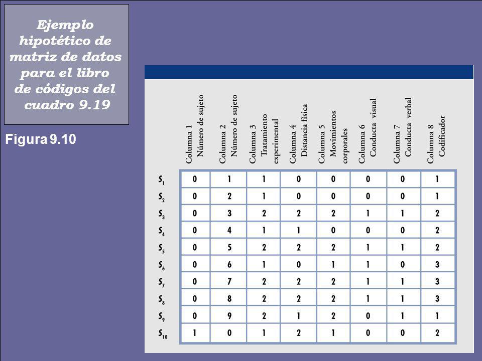 Ejemplo hipotético de matriz de datos para el libro de códigos del cuadro 9.19 Figura 9.10